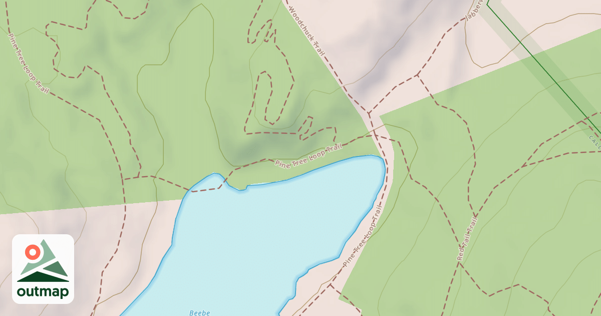 Map of Pine Tree Loop