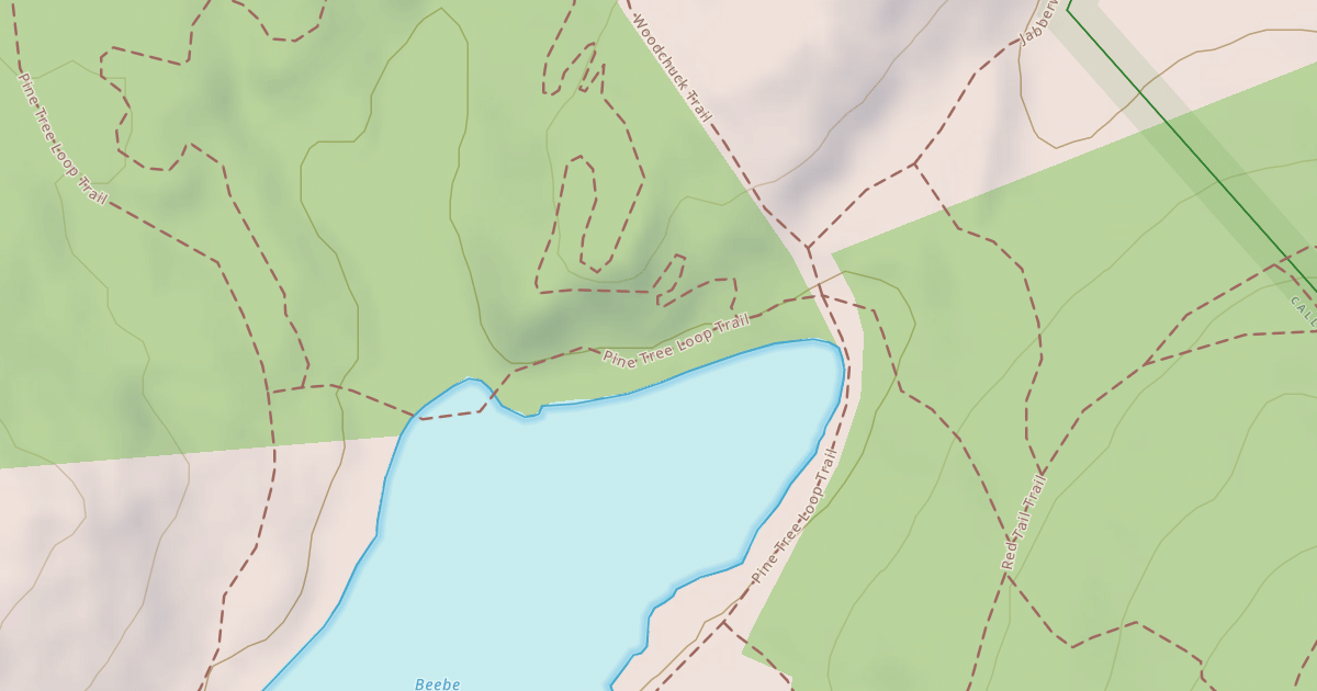 Map preview of Pine Tree Loop