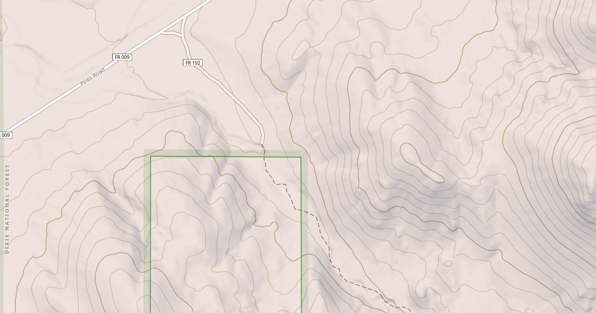 Map preview of USFS National Forest System Roads {8FC18107-6D49-4EF2-A5CC-F25D655C2989}