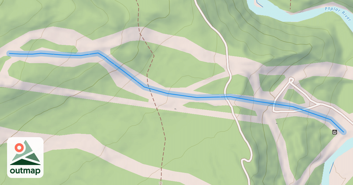 Map of White Birch