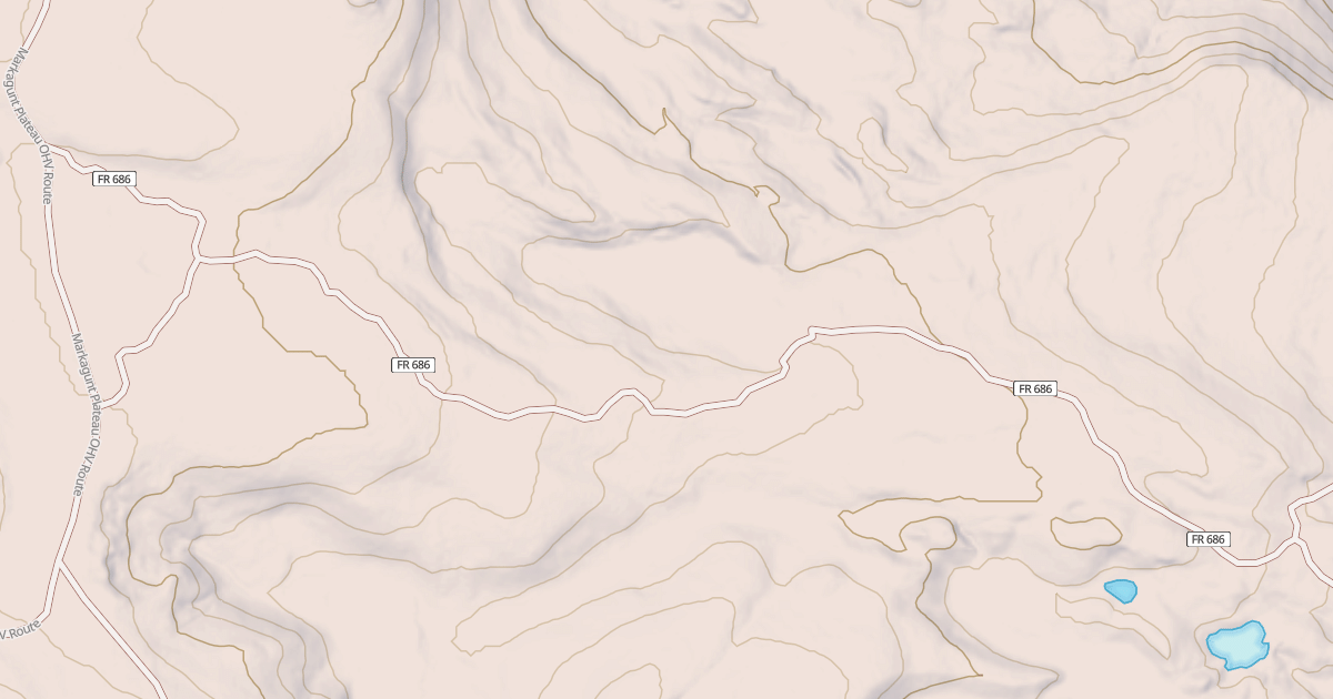 Map preview of USFS Motor Vehicle Use Map Roads {E60DE0B4-D071-4655-9E5A-B1FE2454C559}