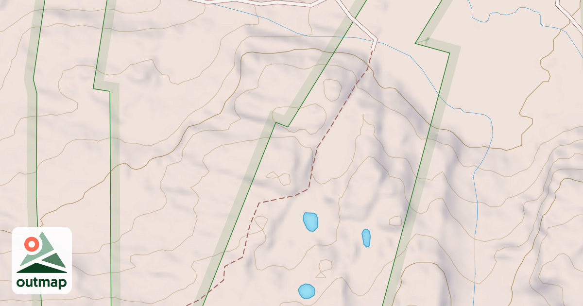 Map of BLM National GTLF Public Motorized Roads 46ff2e21-8303-409e-9e5b-768f3910956b