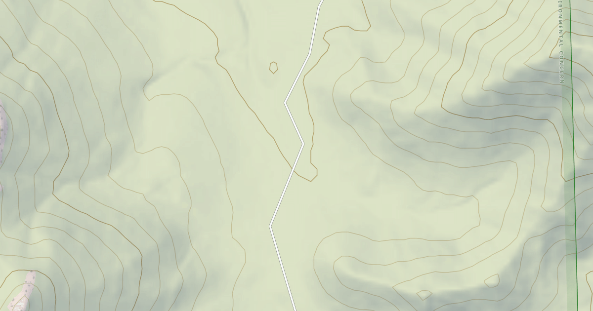 Map preview of BLM National GTLF Public Motorized Roads 1e563b5f-e62a-4125-8b2c-492a99b5df4e