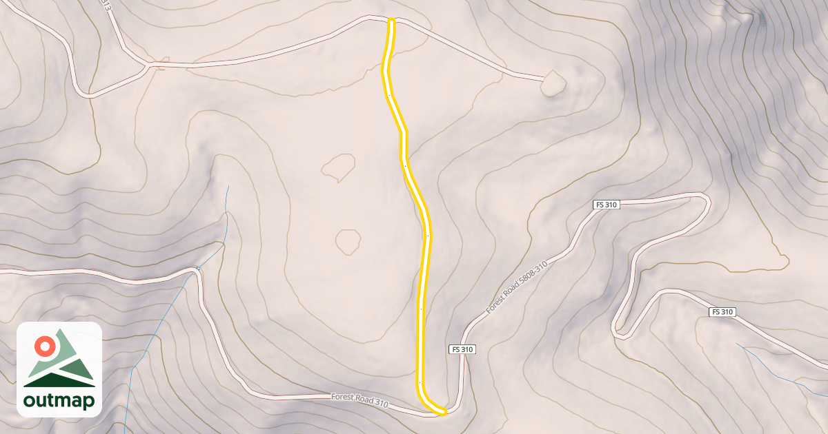 Map of Forest Road 313