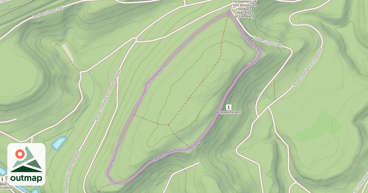 Map of Route Forestière du Krippenberg