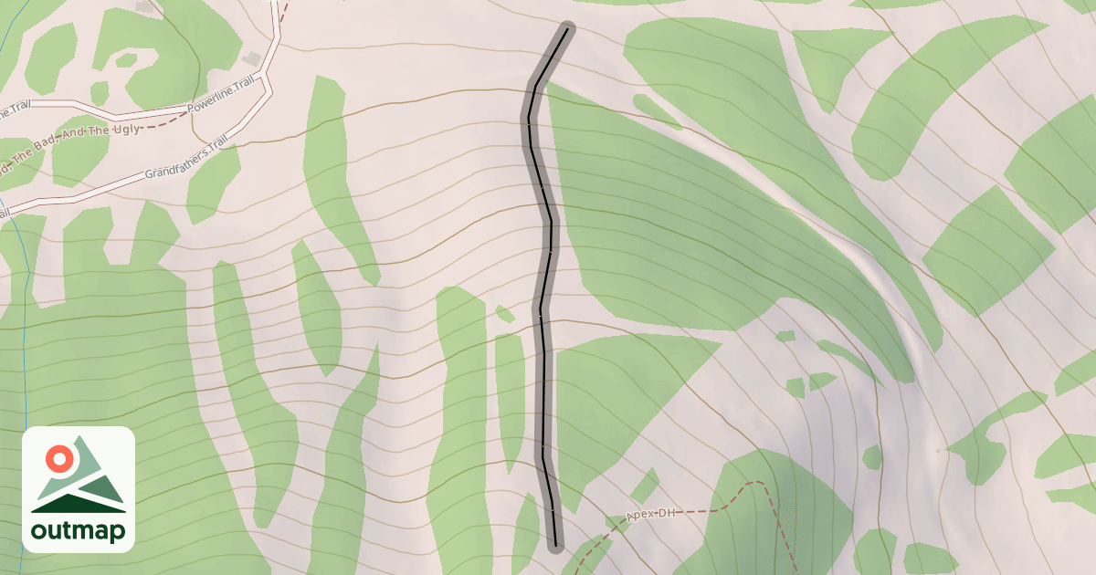Map of Face