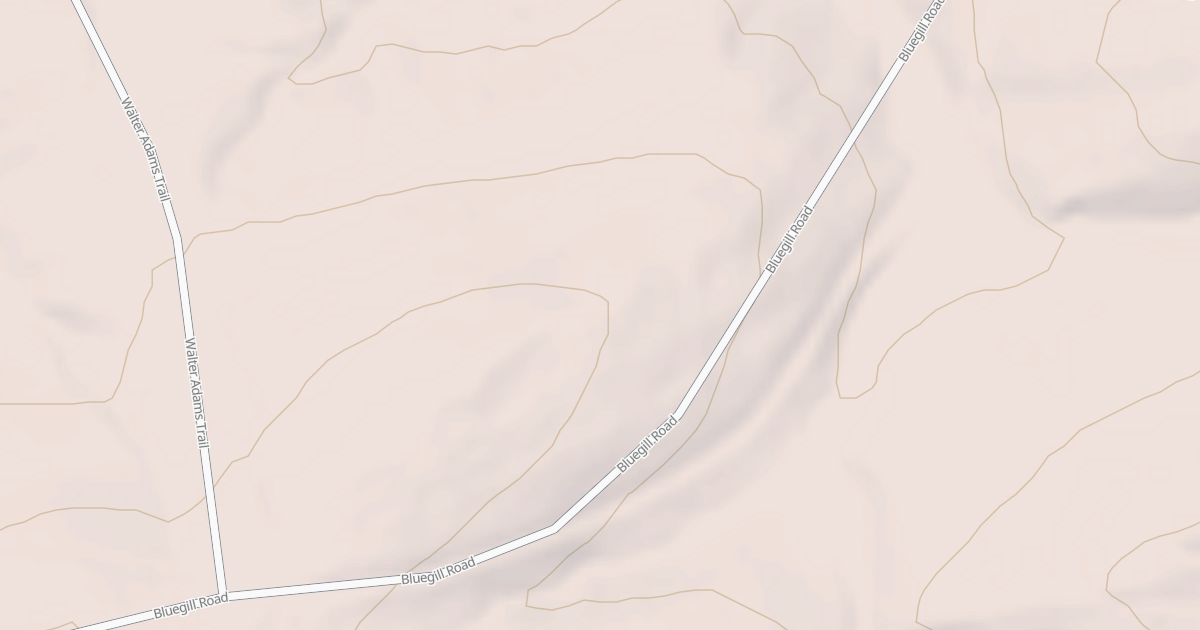 Map preview of USFS Motor Vehicle Use Map Roads {CEA92D59-D0AD-4682-B913-14E89AF9FEE4}