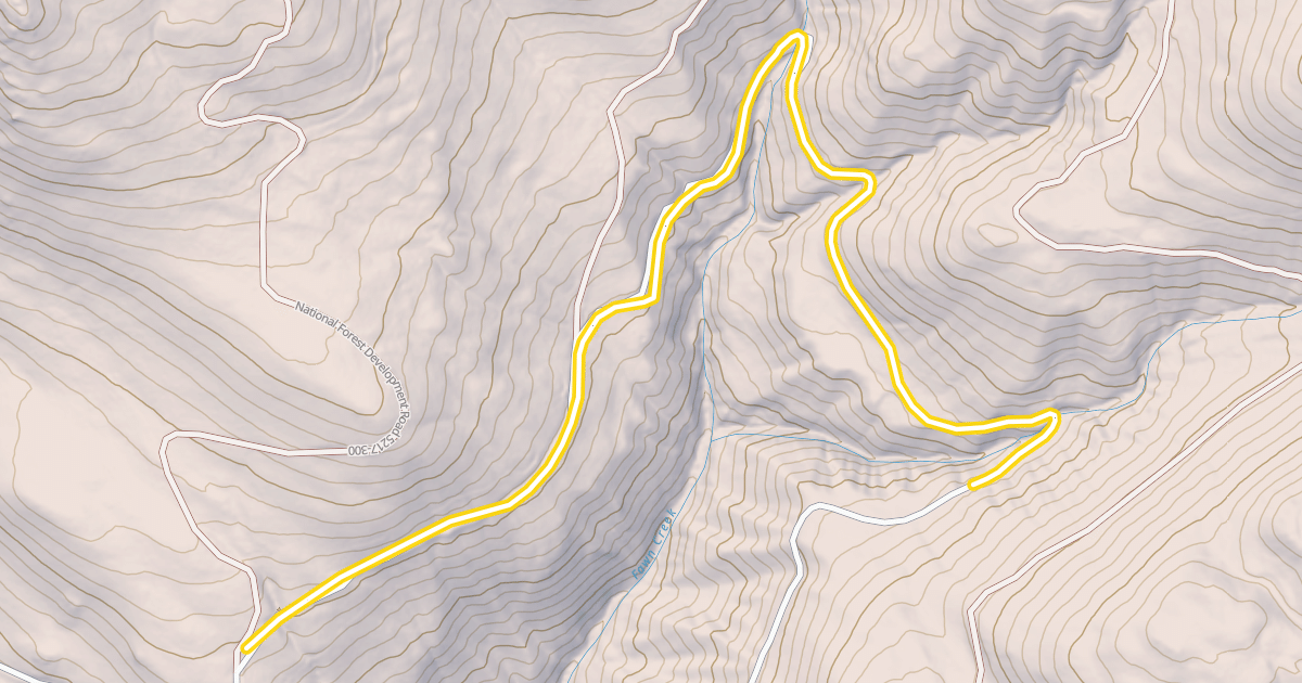 Map preview of National Forest Development Road 100