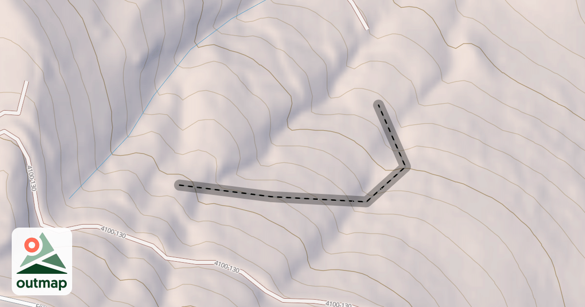 Map of Salt's Woods