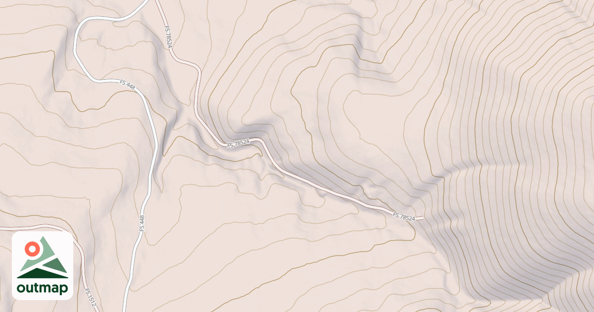 Map of USFS National Forest System Roads {F11061D2-D2CF-4781-B256-A70D9B98C3C3}