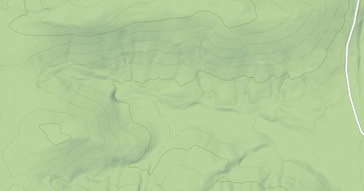 Map preview of USFS Motor Vehicle Use Map Roads {AAA18B53-8CC9-478D-A249-A96A3B1942FA}