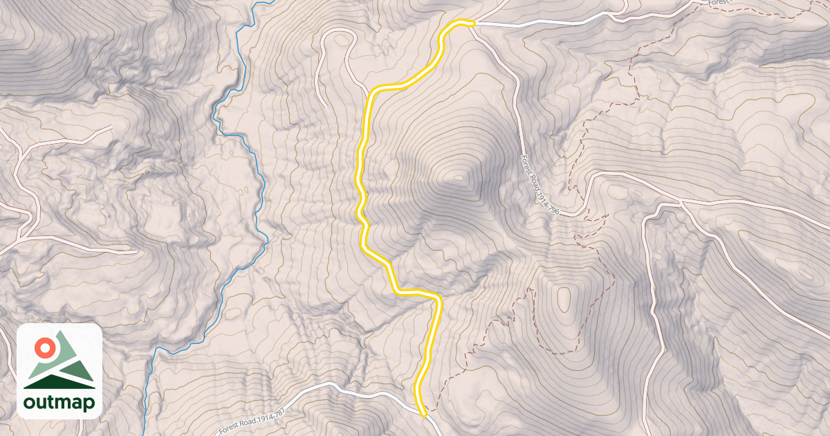 Map of Forest Road 1914