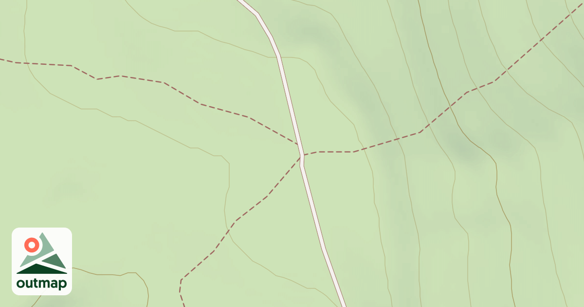 Map of BLM National GTLF Public Motorized Roads 774ae3d2-d8e5-401c-9cb7-cdb5e8c4c6b3