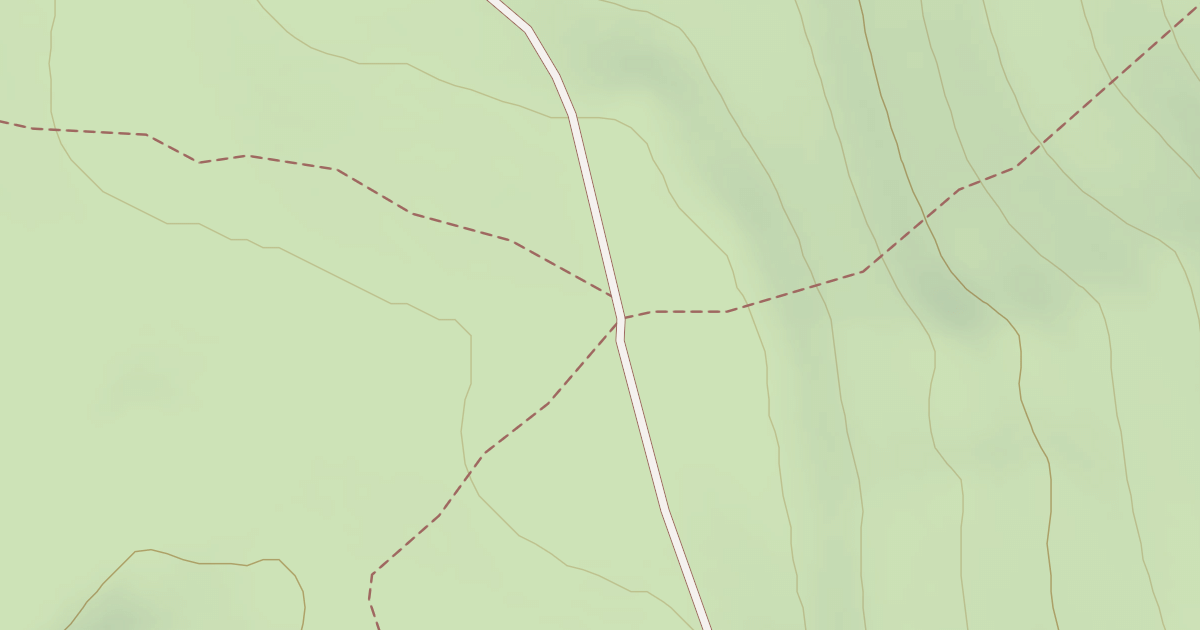 Map preview of BLM National GTLF Public Motorized Roads 774ae3d2-d8e5-401c-9cb7-cdb5e8c4c6b3