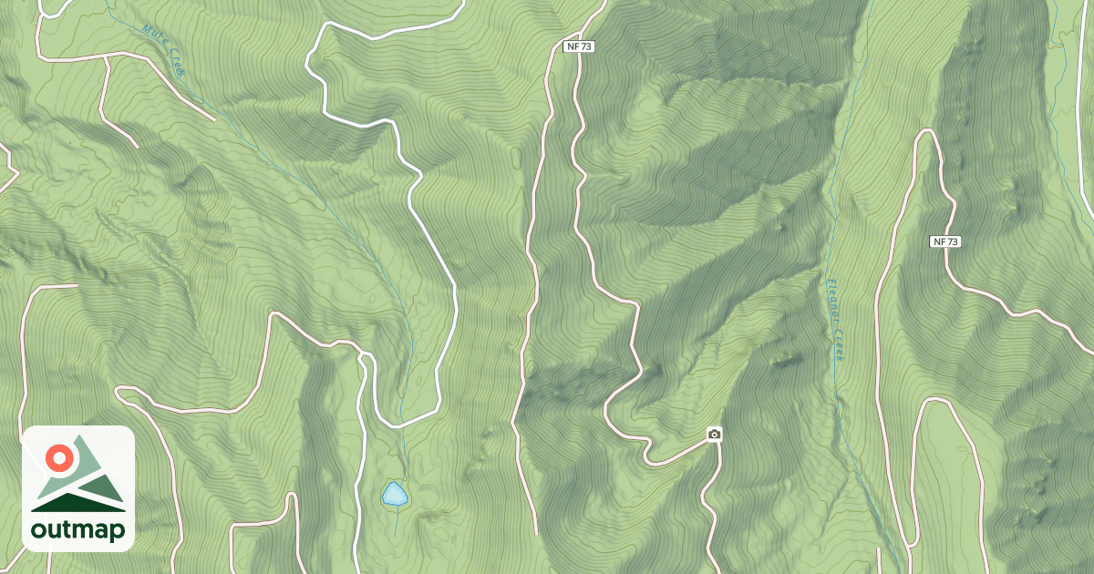 Map of LIVER CAMP