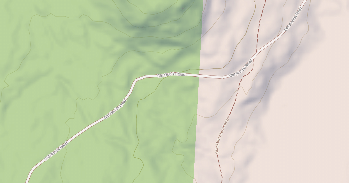 Map preview of Old Florida Road