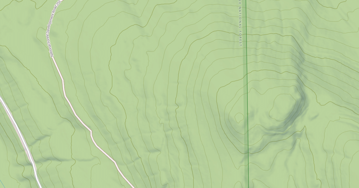Map preview of USFS Motor Vehicle Use Map Roads {2D0F9BE1-66D5-49EB-B33B-73CED966D1D6}