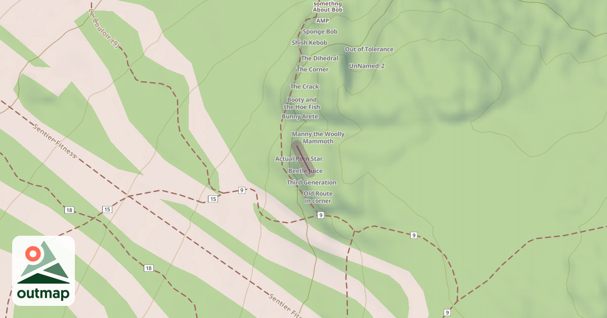 Map of Rebar