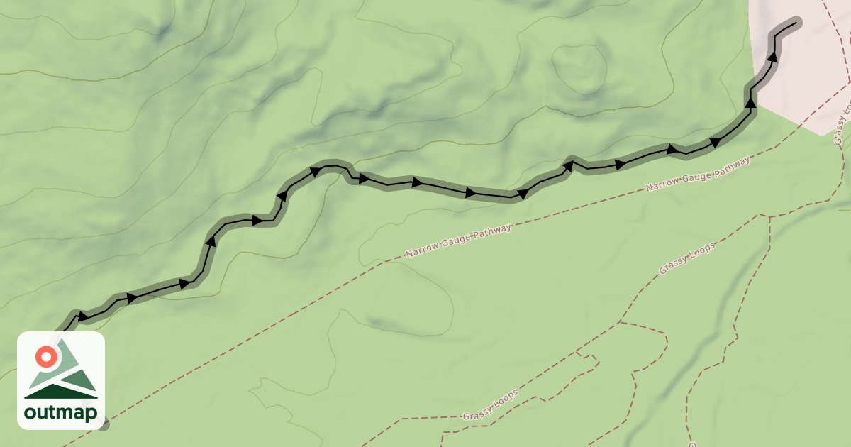 Map of Snowy Loops
