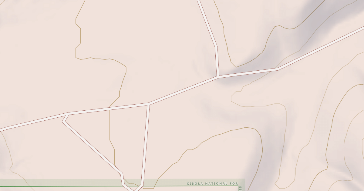 Map preview of USFS Motor Vehicle Use Map Roads {02E15B50-F3E4-4E68-BB5C-32A075A39154}