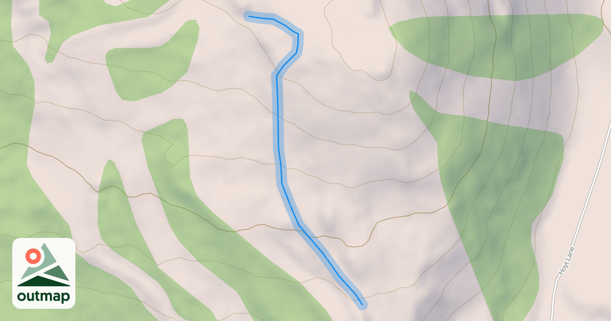 Map of Pine Board