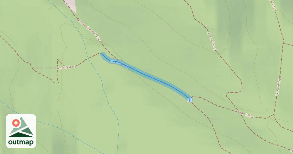 Map of Cedar Snag