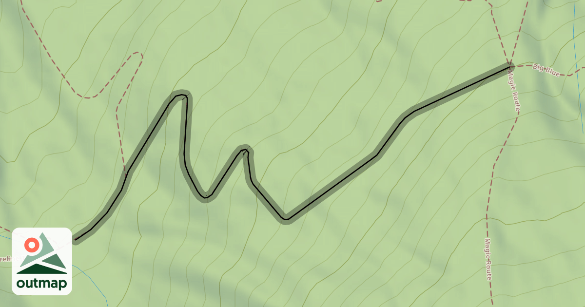 Map of Cougar Alley