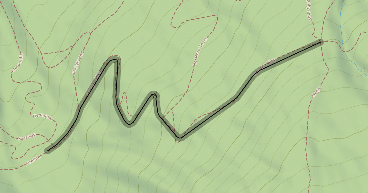 Map preview of Cougar Alley