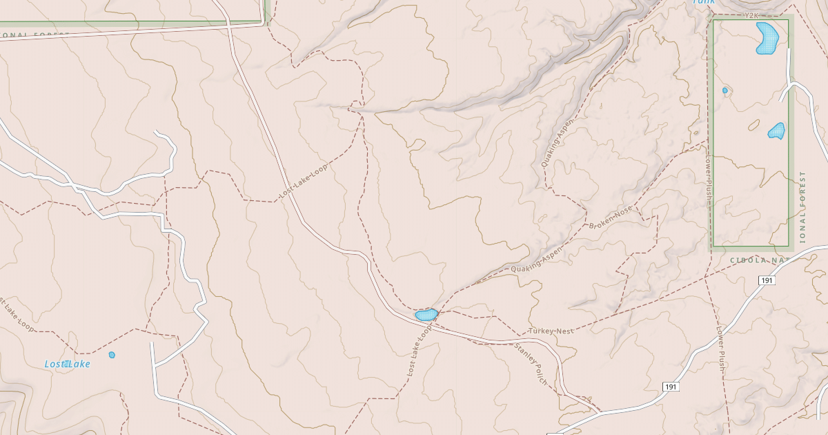 Map preview of USFS National Forest System Roads {6EE224DB-33D2-489A-A620-96725CB3D719}