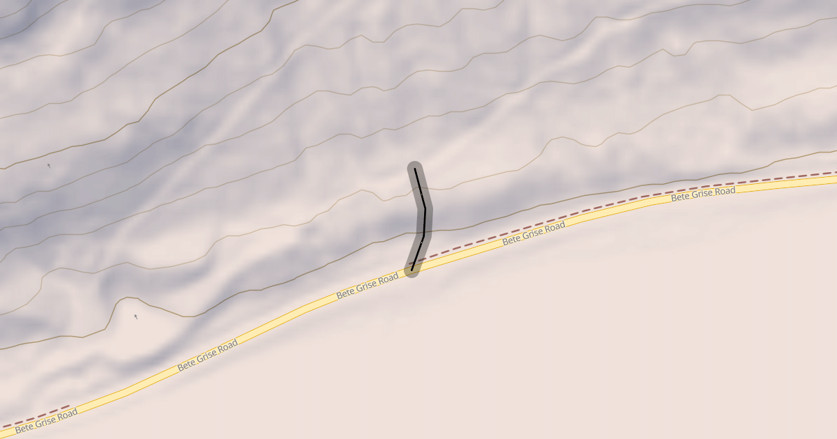 Map preview of Tiny Bear
