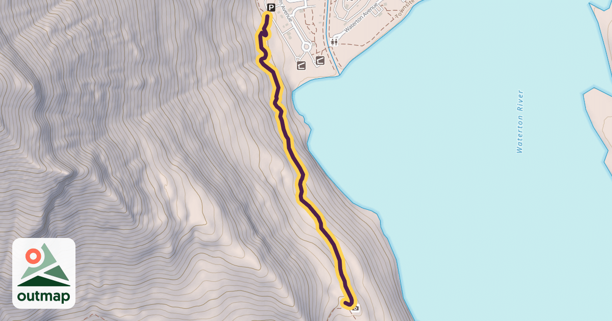 Map of Bertha Lake Trail