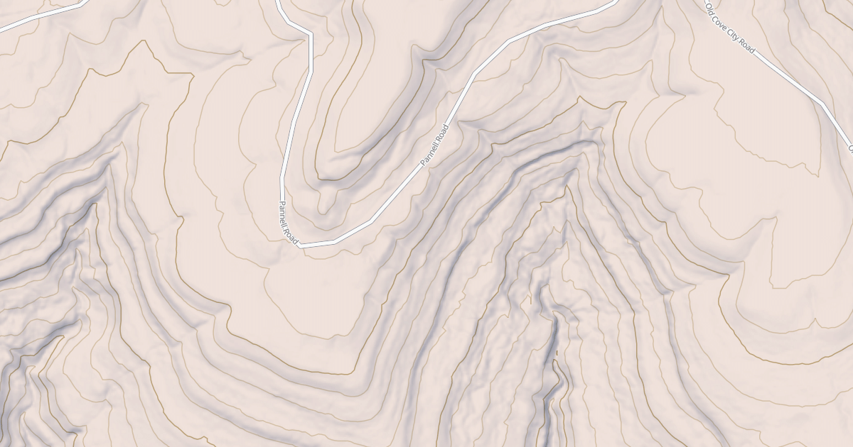 Map preview of USFS Motor Vehicle Use Map Roads {171C112A-8E33-4F27-996C-3376C027B534}