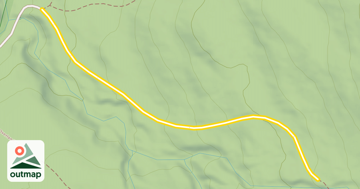 Map of Forest Road