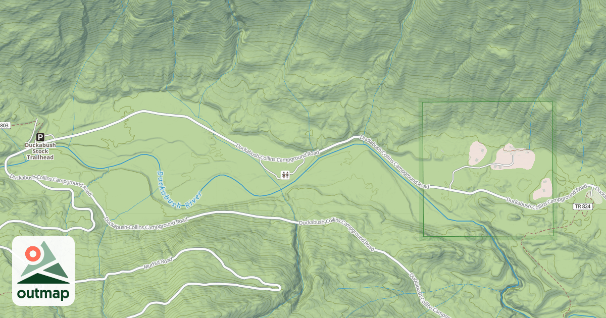 Map of DUCKABUSH COLLINS CG