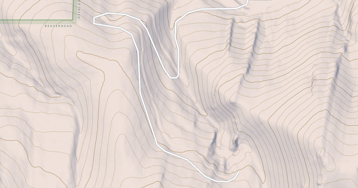 Map preview of USFS National Forest System Roads {1672C756-C3C0-4693-B294-91B3565DD6BF}