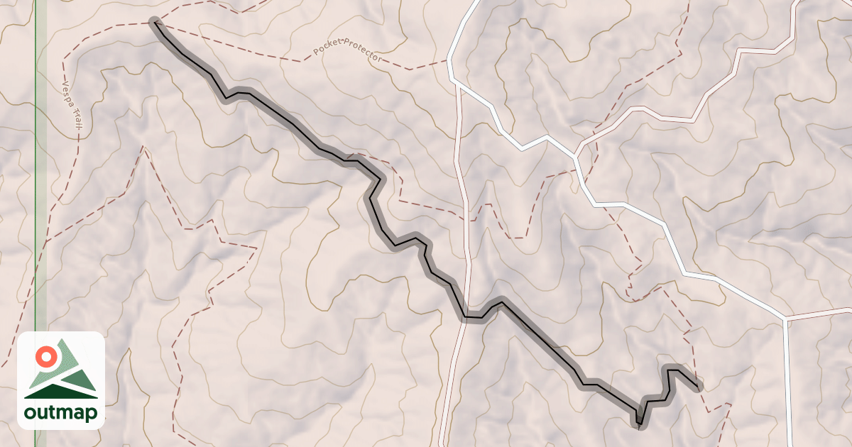 Map of Pine Needle