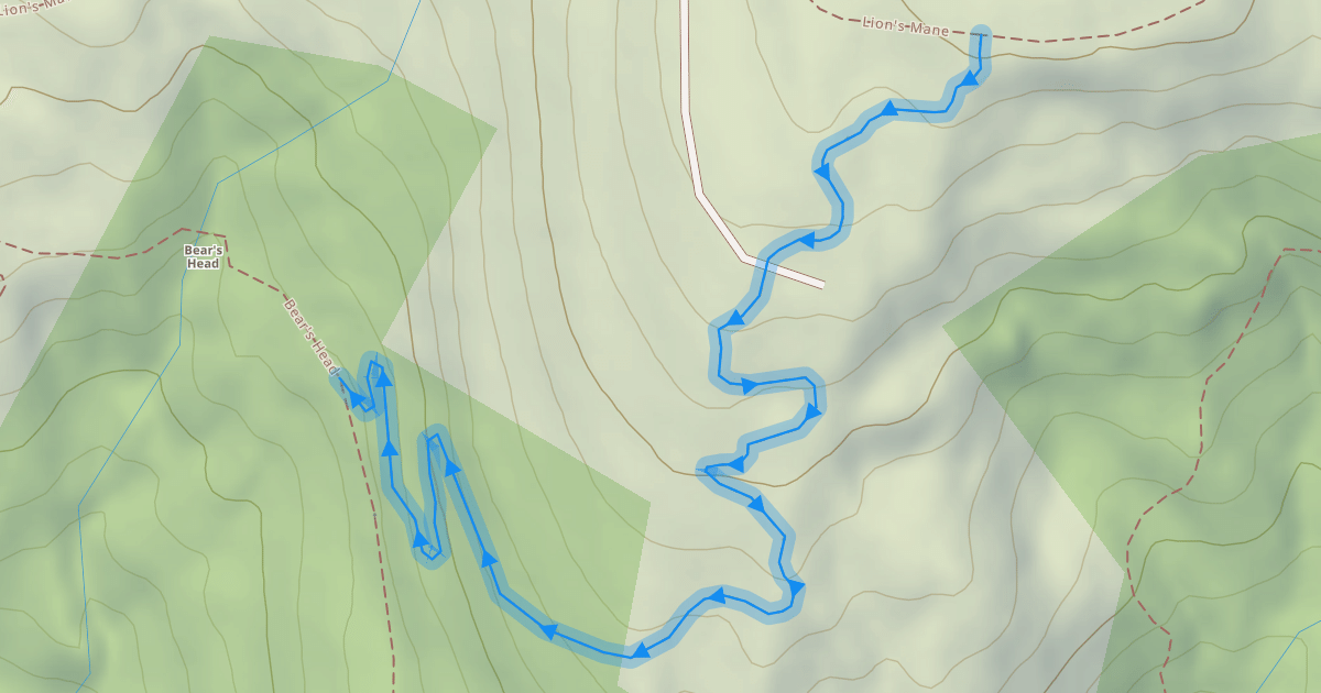 Map preview of Turkey Tail