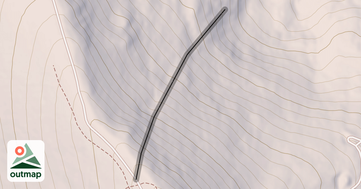 Map of Kohli's Big TImber