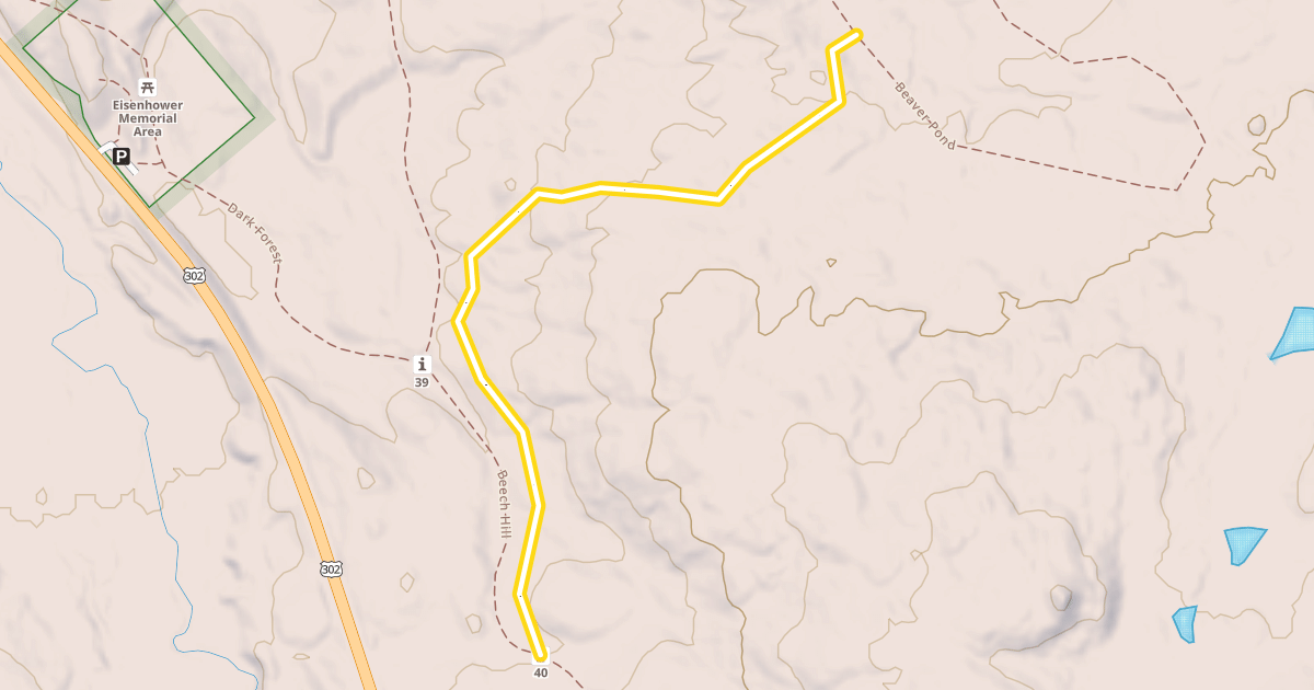 Map preview of Peter's Path