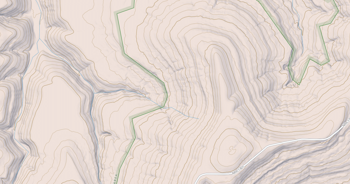 Map preview of USFS National Forest System Roads {458C7ADD-72A0-4A56-B1E2-7255003381C3}