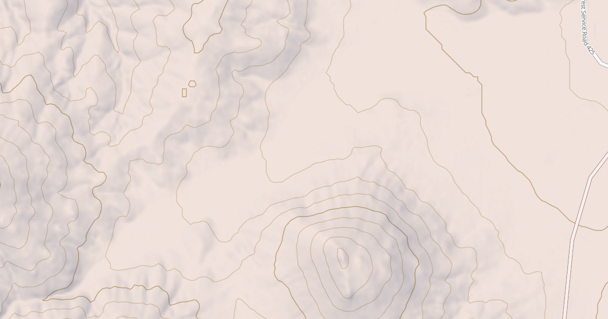 Map preview of USFS National Forest System Roads {6CE19DBE-65E4-49F9-B549-D7C68946DE1C}