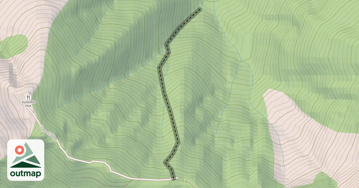 Map of C-Spine