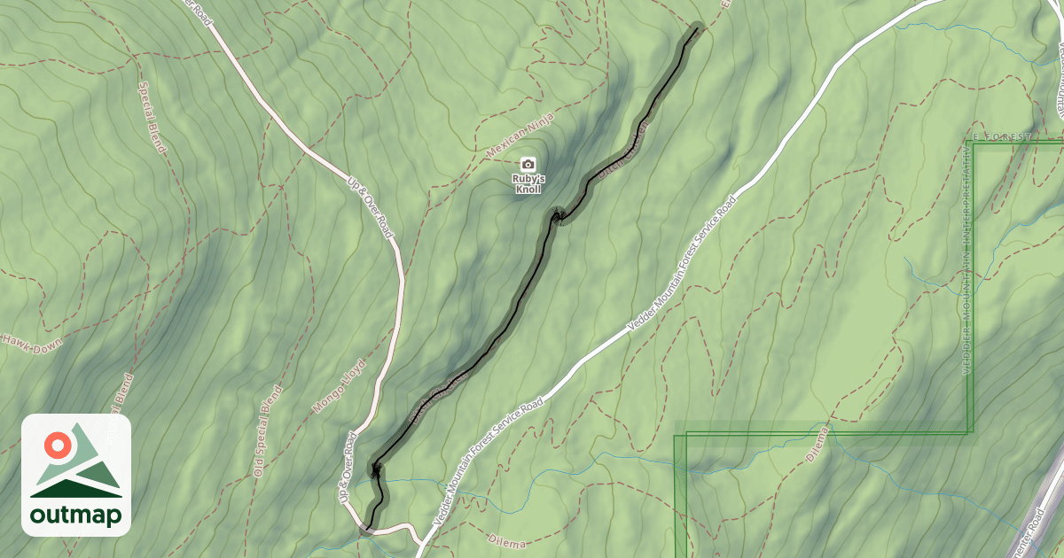 Map of Ditch Chicken