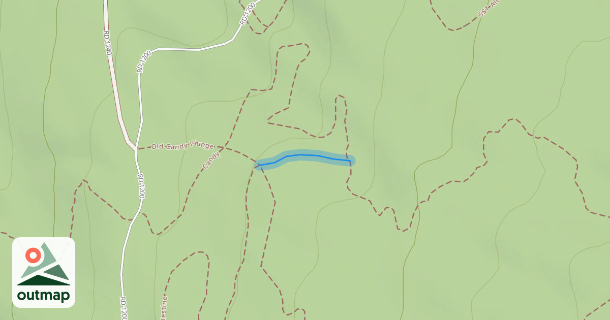 Map of Candy Gut