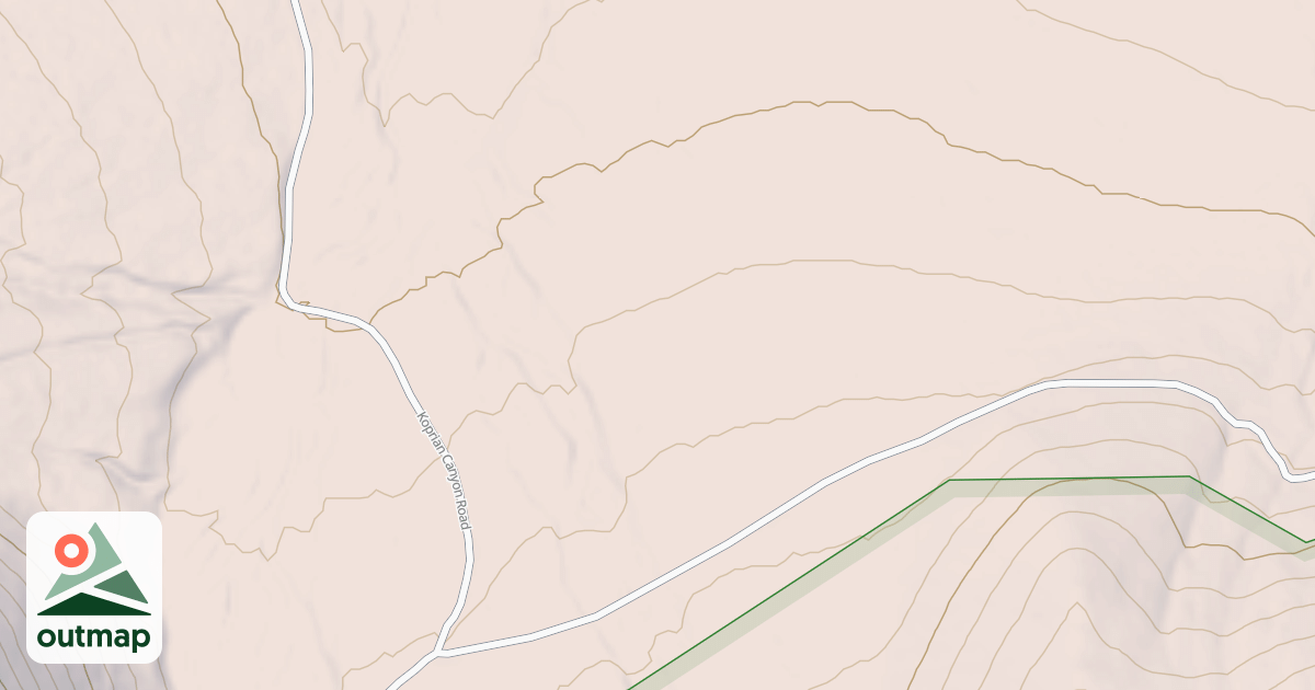 Map of USFS National Forest System Roads {156A9188-C289-435D-B060-9D606752D84E}