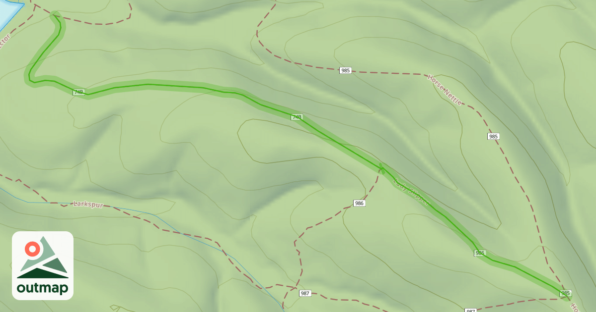 Map of Lady Slipper