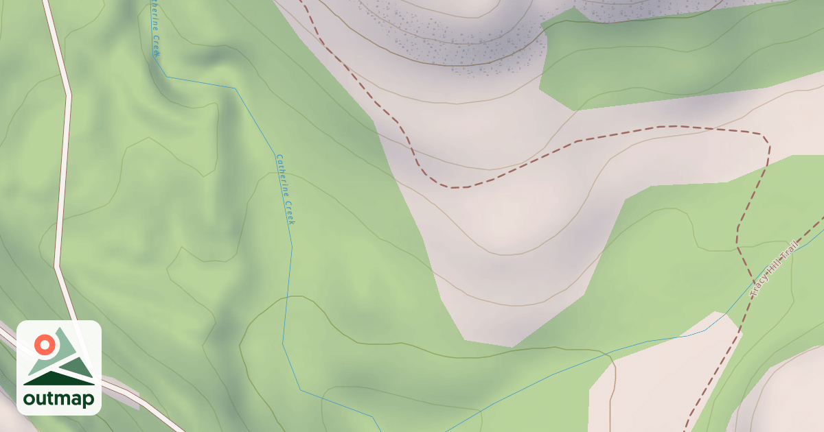 Map of USFS National Forest System Roads {118106DD-DA21-4AD9-8188-EF5C1A89C61E}