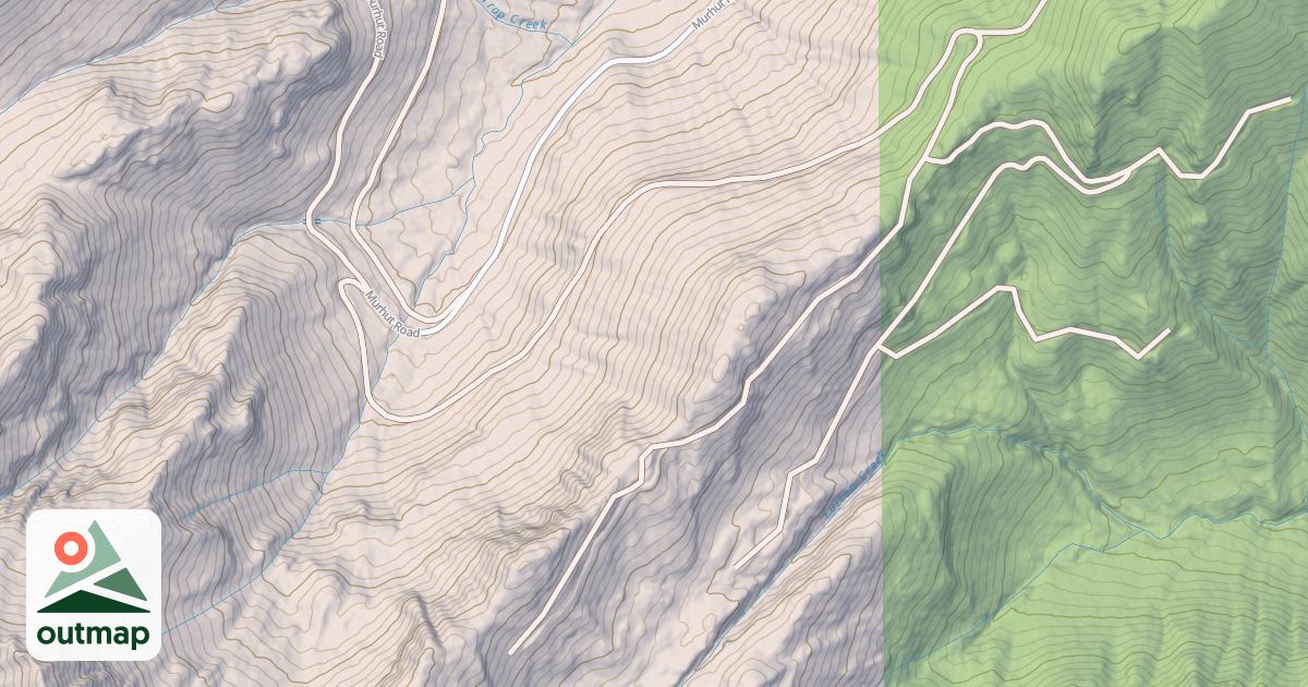 Map of USFS National Forest System Roads {52641332-2114-460A-A0F7-DBE8E6ADD7C7}