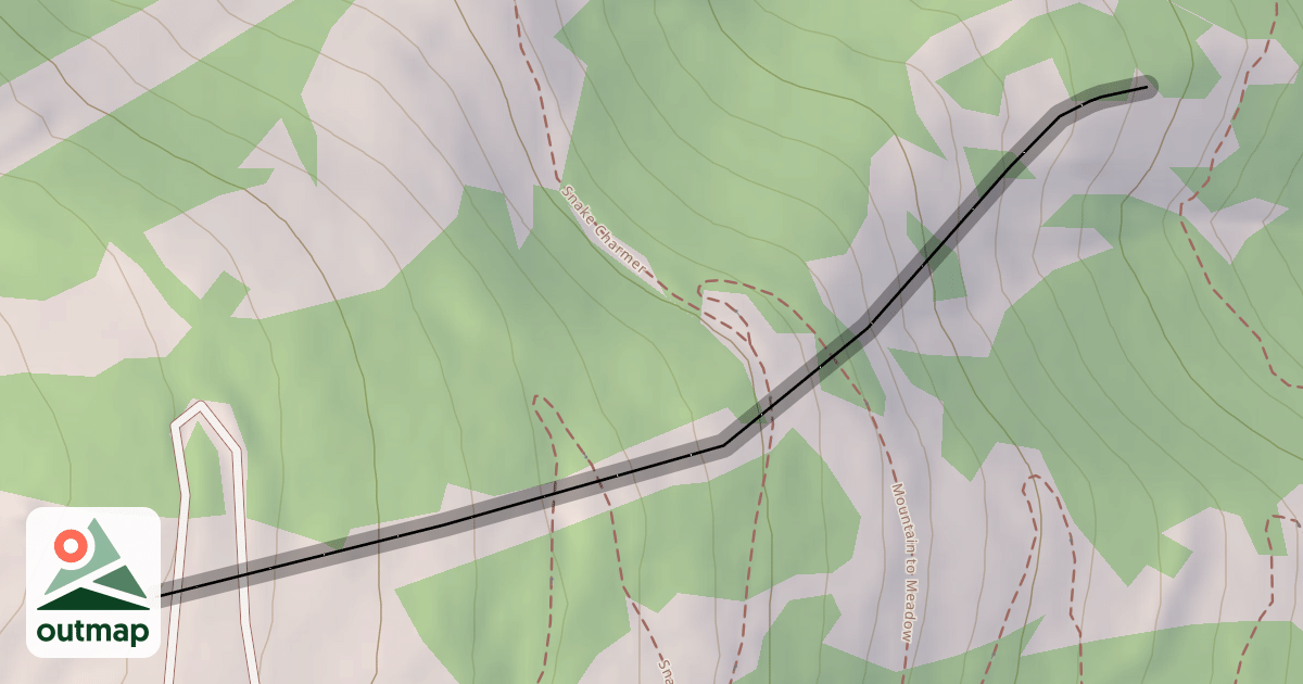 Map of Snake Pit