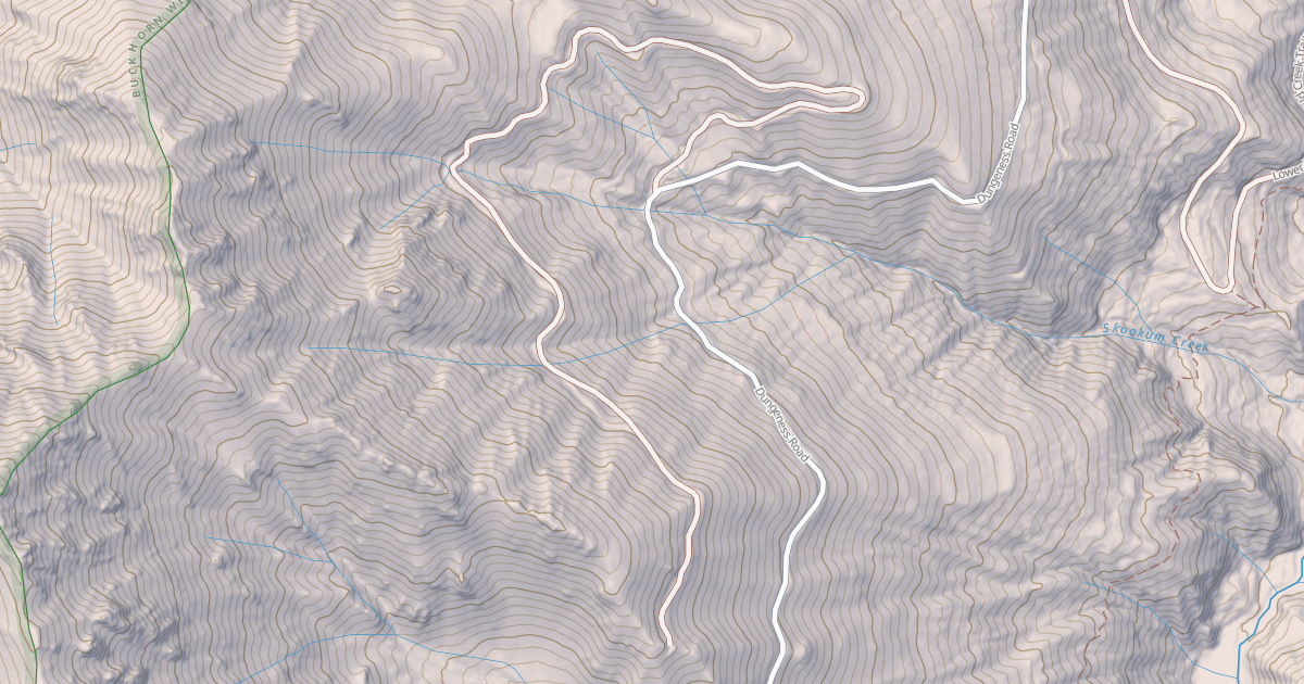Map preview of USFS Motor Vehicle Use Map Roads {4A65222C-F335-4BBA-8F37-6528E3D1ACE6}